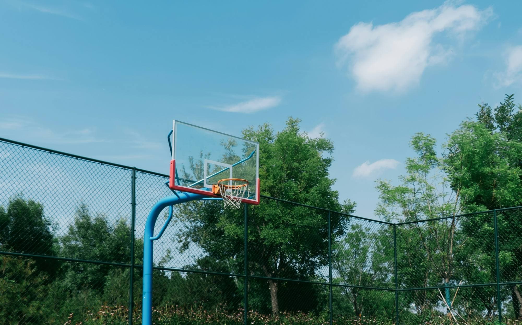 Panier de basketball extérieur sur poteau bleu, entouré d'une haute clôture grillagée, arbres et ciel en arrière-plan