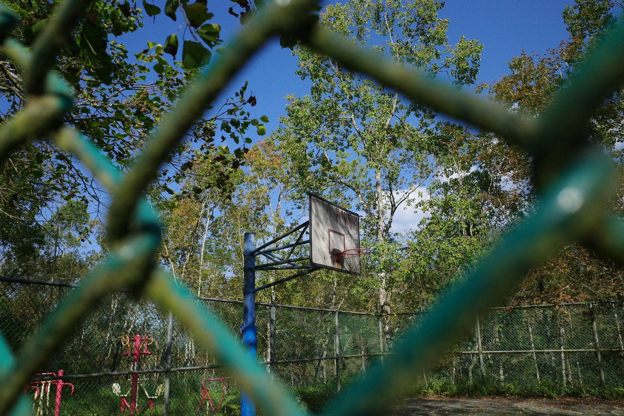 Panier de basketball vu à travers les mailles floues d'une clôture grillagée verte
