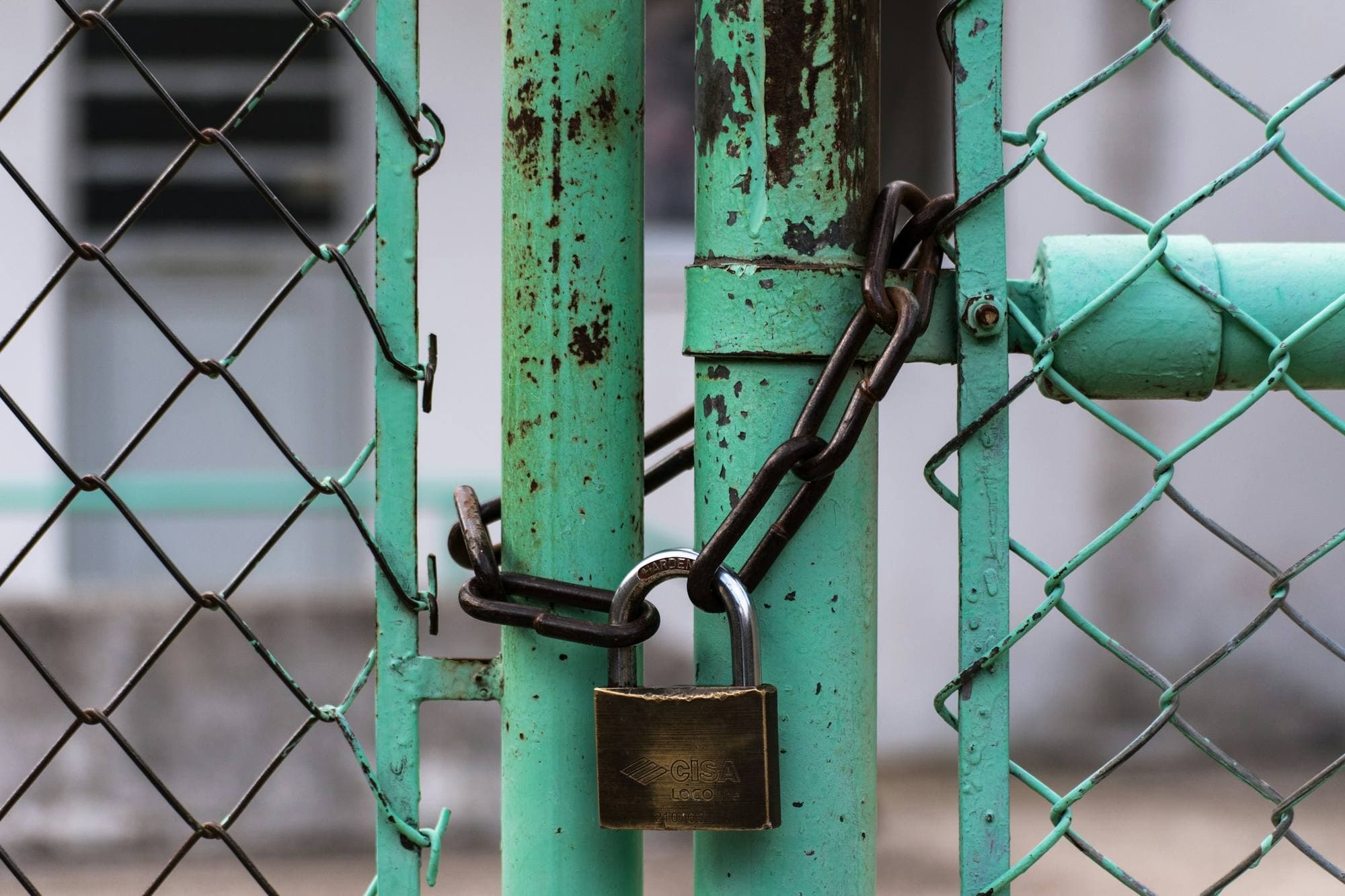Portail vert menthe usé dans une clôture grillagée, fermé par une chaîne et un cadenas